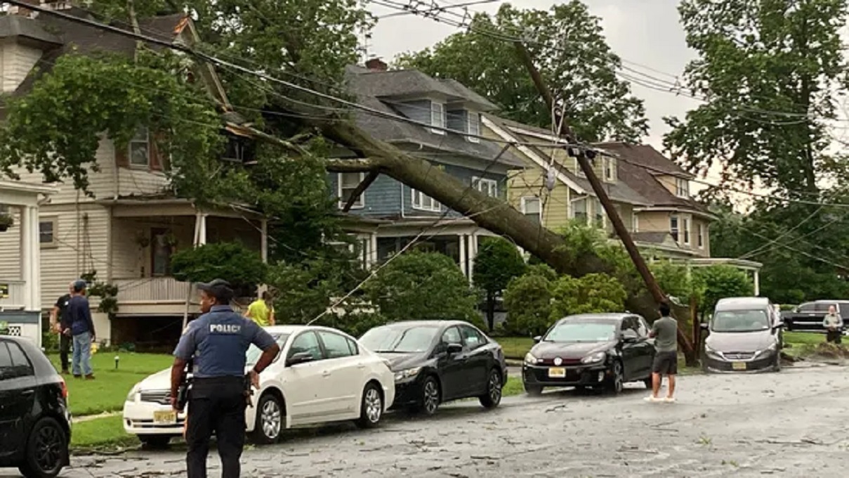 Three New Jersey residents killed as thunderstorms tore down trees ...
