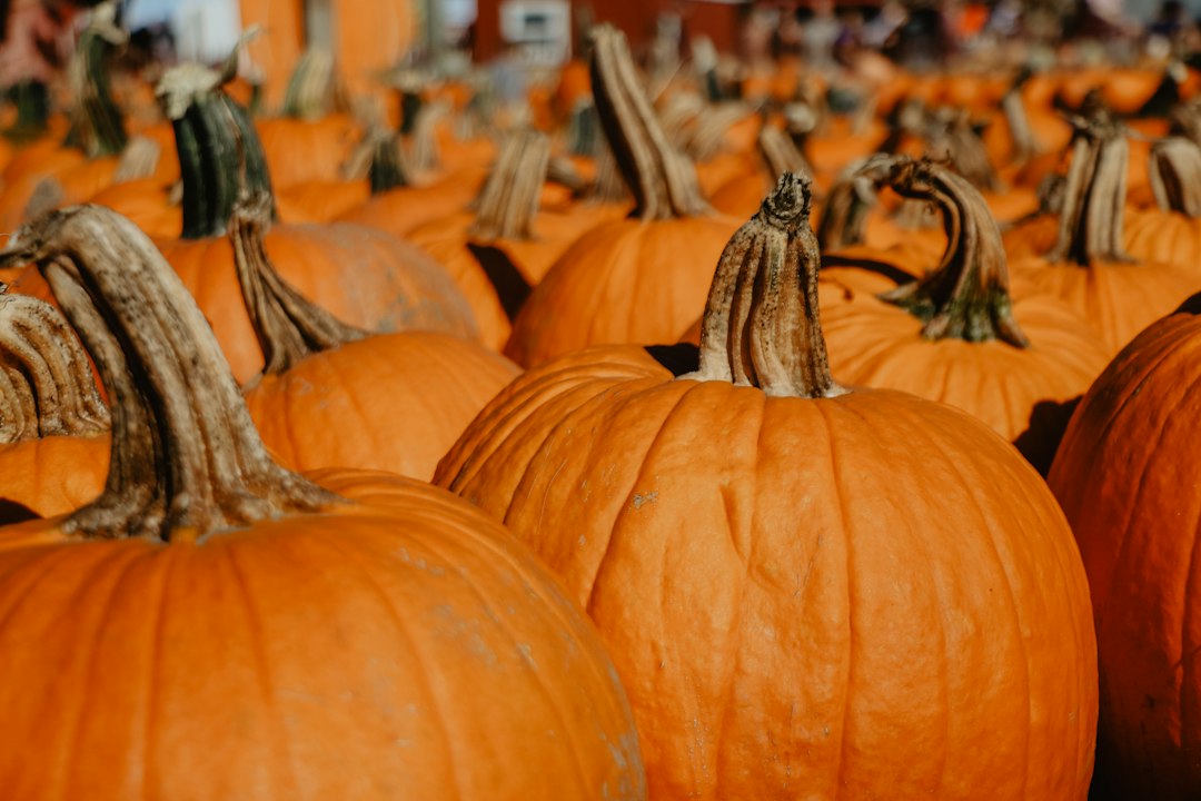 Pile of orange pumpkins at a fall farm market